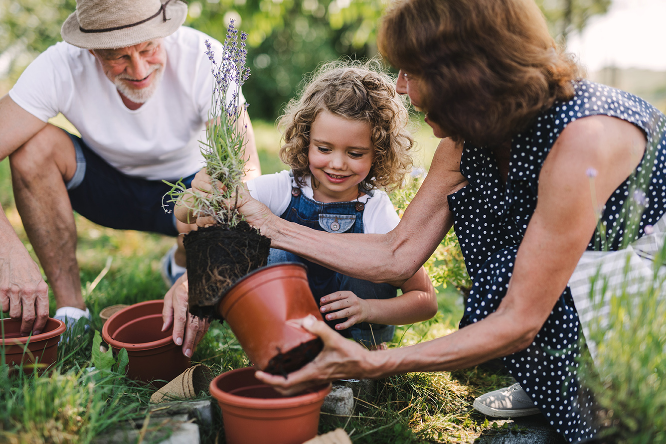 Estate Planning and Strategies | Isler Wealth Management OR